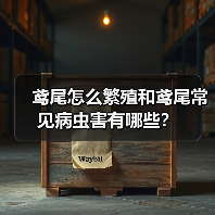 鸢尾怎么繁殖和鸢尾常见病虫害有哪些?(图3) 鸢尾怎么繁殖和鸢尾常见病虫害有哪些?(图3)