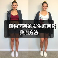 植物药害的发生原因及救治方法(图4) 植物药害的发生原因及救治方法(图4)