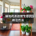 植物药害的发生原因及救治方法(图1) 植物药害的发生原因及救治方法(图1)