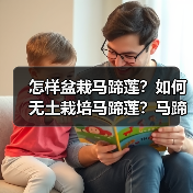怎样盆栽马蹄莲?如何无土栽培马蹄莲?马蹄莲的病虫害有哪些?(图2) 怎样盆栽马蹄莲?如何无土栽培马蹄莲?马蹄莲的病虫害有哪些?(图2)