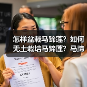 怎样盆栽马蹄莲?如何无土栽培马蹄莲?马蹄莲的病虫害有哪些?(图3) 怎样盆栽马蹄莲?如何无土栽培马蹄莲?马蹄莲的病虫害有哪些?(图3)