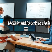 扶桑的栽培技术及防病害(图1) 扶桑的栽培技术及防病害(图1)