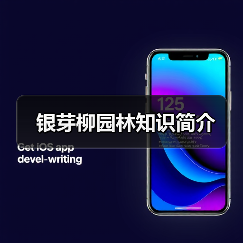 银芽柳园林知识简介（图4）