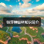 银芽柳园林知识简介（图1）
