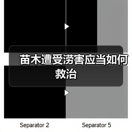 苗木遭受涝害应当如何救治（图1）