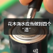 花木浇水应当做到四个“适”（图3）
