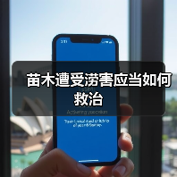 苗木遭受涝害应当如何救治（图4）
