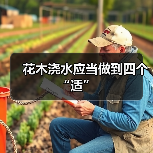 花木浇水应当做到四个“适”（图4）