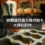 陕西最具地方特点的十大绿化树种(图4) 陕西最具地方特点的十大绿化树种(图4)