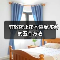 有效防止花木遭受冻害的五个方法(图2) 有效防止花木遭受冻害的五个方法(图2)