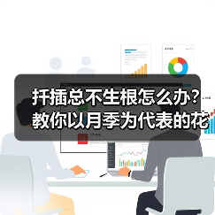 扦插总不生根怎么办?教你以月季为代表的花卉扦插最简单方法(图3) 扦插总不生根怎么办?教你以月季为代表的花卉扦插最简单方法(图3)