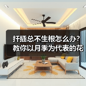 扦插总不生根怎么办?教你以月季为代表的花卉扦插最简单方法(图4) 扦插总不生根怎么办?教你以月季为代表的花卉扦插最简单方法(图4)