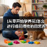 [从零开始学养花]怎么进行观花植物的日常养护？（图3）