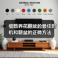 细数养花翻盆的最佳时机和翻盆的正确方法（图4）
