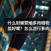 什么时候繁殖多肉植物最好呢?怎么进行多肉叶插繁殖?(图3) 什么时候繁殖多肉植物最好呢?怎么进行多肉叶插繁殖?(图3)