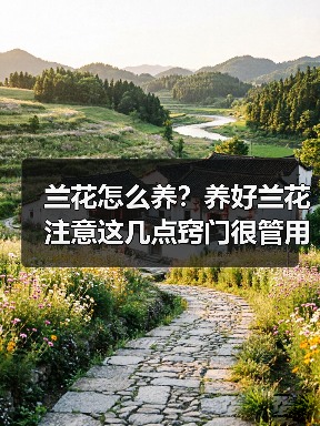 兰花怎么养?养好兰花注意这几点窍门很管用(图4) 兰花怎么养?养好兰花注意这几点窍门很管用(图4)
