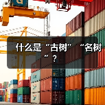 什么是“古树”“名树”?(图1) 什么是“古树”“名树”?(图1)