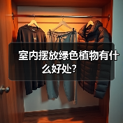 室内摆放绿色植物有什么好处?(图4) 室内摆放绿色植物有什么好处?(图4)