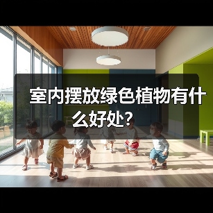 室内摆放绿色植物有什么好处?(图2) 室内摆放绿色植物有什么好处?(图2)
