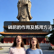 磷肥的作用及施用方法(图1) 磷肥的作用及施用方法(图1)