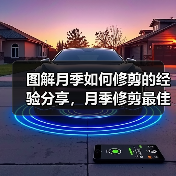图解月季如何修剪的经验分享，月季修剪最佳时间、长度、次数总结（图1）