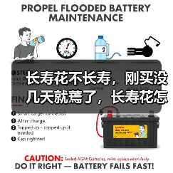 长寿花不长寿,刚买没几天就蔫了,长寿花怎么养小手册(图3) 长寿花不长寿,刚买没几天就蔫了,长寿花怎么养小手册(图3)