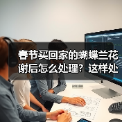 春节买回家的蝴蝶兰花谢后怎么处理?这样处理延长蝴蝶兰花期(图3) 春节买回家的蝴蝶兰花谢后怎么处理?这样处理延长蝴蝶兰花期(图3)