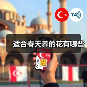 适合春天养的花有哪些(图1) 适合春天养的花有哪些(图1)