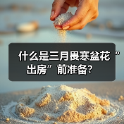 什么是三月畏寒盆花“出房”前准备？（图1）
