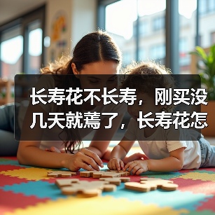 长寿花不长寿,刚买没几天就蔫了,长寿花怎么养小手册(图2) 长寿花不长寿,刚买没几天就蔫了,长寿花怎么养小手册(图2)