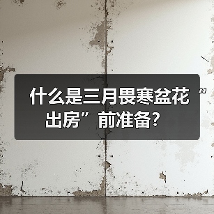 什么是三月畏寒盆花“出房”前准备？（图2）