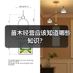 苗木经营应该知道哪些知识？（图1）