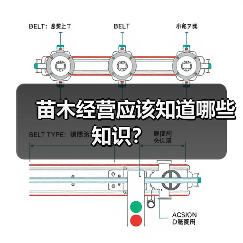 苗木经营应该知道哪些知识？（图2）