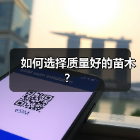 如何选择质量好的苗木?(图4) 如何选择质量好的苗木?(图4)