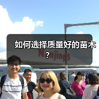 如何选择质量好的苗木?(图2) 如何选择质量好的苗木?(图2)