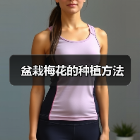 盆栽梅花的种植方法（图4）