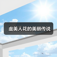 虞美人花的美丽传说(图4) 虞美人花的美丽传说(图4)