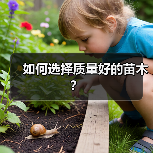 如何选择质量好的苗木?(图3) 如何选择质量好的苗木?(图3)