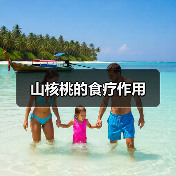 山核桃的食疗作用(图3) 山核桃的食疗作用(图3)