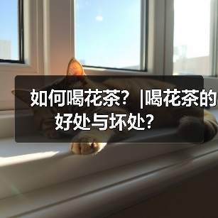 如何喝花茶？|喝花茶的好处与坏处？（图1）