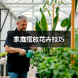 家庭摆放花卉技巧（图2）