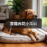 家庭养花小常识（图3）