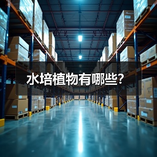 水培植物有哪些?(图4) 水培植物有哪些?(图4)