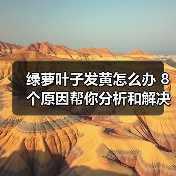 绿萝叶子发黄怎么办 8个原因帮你分析和解决绿萝叶黄问题(图1) 绿萝叶子发黄怎么办 8个原因帮你分析和解决绿萝叶黄问题(图1)