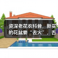 资深老花农科普，新买的花盆要“去火”，否则花卉绿植一上盆就枯死（图2）