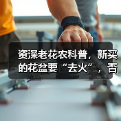资深老花农科普，新买的花盆要“去火”，否则花卉绿植一上盆就枯死（图4）