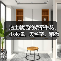 沾土就活的矮牵牛花、小木槿、天竺葵,稍微给点儿肥秒变大花球(图3) 沾土就活的矮牵牛花、小木槿、天竺葵,稍微给点儿肥秒变大花球(图3)