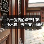 沾土就活的矮牵牛花、小木槿、天竺葵,稍微给点儿肥秒变大花球(图4) 沾土就活的矮牵牛花、小木槿、天竺葵,稍微给点儿肥秒变大花球(图4)