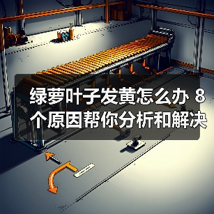 绿萝叶子发黄怎么办 8个原因帮你分析和解决绿萝叶黄问题(图3) 绿萝叶子发黄怎么办 8个原因帮你分析和解决绿萝叶黄问题(图3)