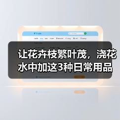 让花卉枝繁叶茂,浇花水中加这3种日常用品(图4) 让花卉枝繁叶茂,浇花水中加这3种日常用品(图4)